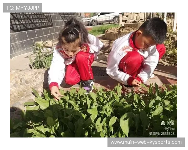 篮球运动在中国农村小学教育公平实践中的表现调研，中小学篮球运动发展毕业论文
